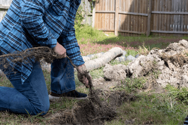 Plumbing Services in Rock Hill, SC 22 Root Removal in Rock Hill, SC